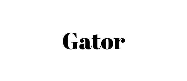 gator - squarespace alternatives 